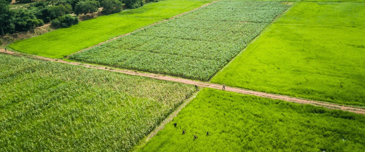 ENGLOBE al meeting della World Bank a Roma sui finanziamenti globali per l’acqua